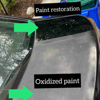 Paint Restoration 