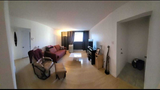 442 Rue Saint-Joseph — photo 3