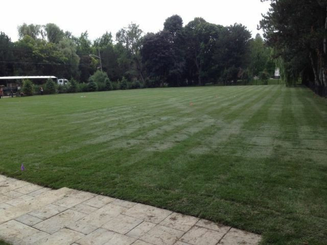 SPRING SOD SPECIAL $1.50SQFT WE ALSO DO INTERLOCK PAVERS BOOKNOW in Lawnmowers & Leaf Blowers in Markham / York Region - Image 3