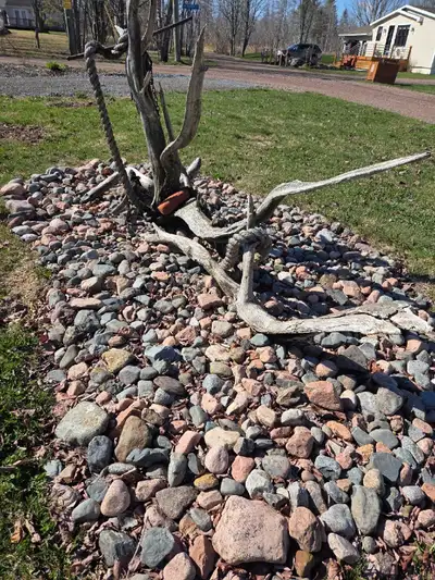 River rocks to give away, View more