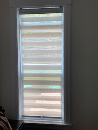 zebra roller blind