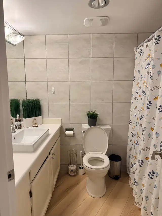 Short Term Rental- Victoria Inner Harbour in British Columbia in Canada - Image 7