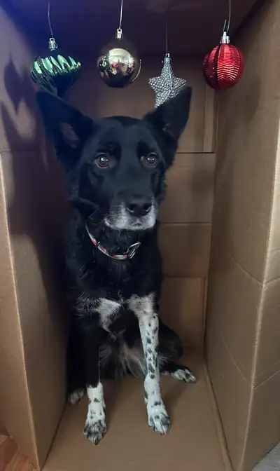pictures of the unit