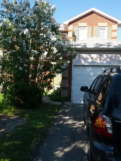 4 Bedrooms Single Car Garage 3 Cars Driveway. Full walkout finished basement. Fully Renovated Kitche...