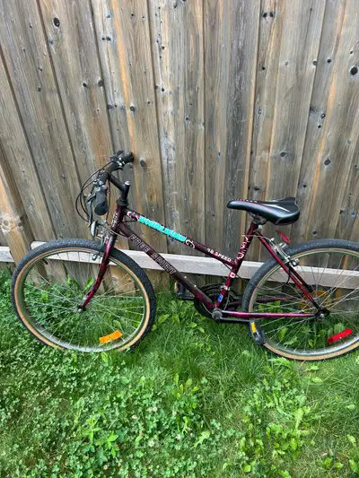Used bike for sale. Fair condition but still good to bike.