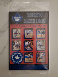 Toronto Maple Leafs Color Action Shot Pictures 