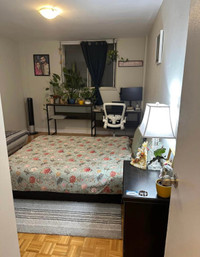 1 bedroom apartment for rent in Toronto - DT
