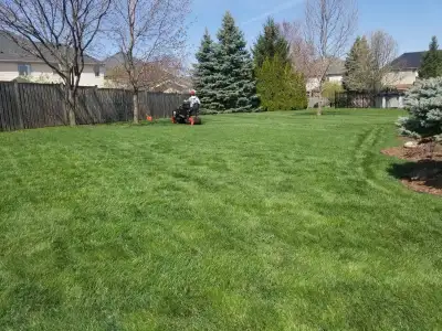 Lawn Rolling & Aeration Services – Free Quotes!, View more