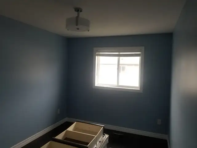 Pauls painting in Painters & Painting in Hamilton - Image 6