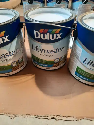 gallons neuf de peinture blanche, View more