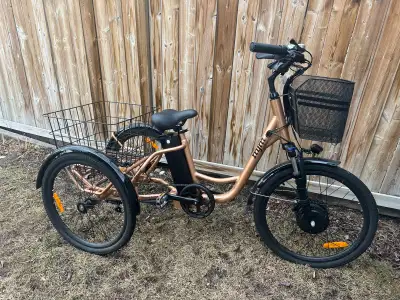 e-Trike MJM, View more