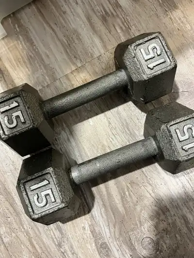 15 LB Cast Iron Hex Dumbbell - Fitness - Weights, View more