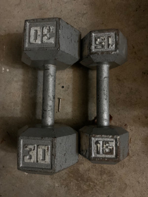 30lb Dumbbells | Kijiji in Ontario. - Buy, Sell & Save with Canada's #1  Local Classifieds.