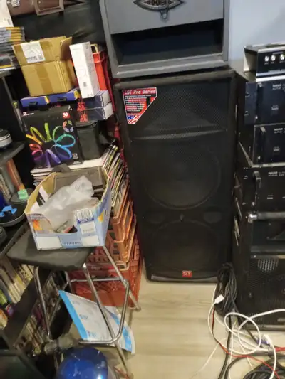 Like new, 2 SoundTech LST215P Dual 15 inch speaker per boxes (2 Eminence Delta Pro speakers) and hor...