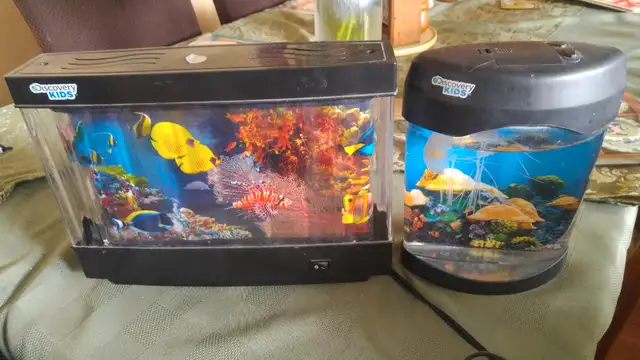 Light up fish tanks62863272471426124