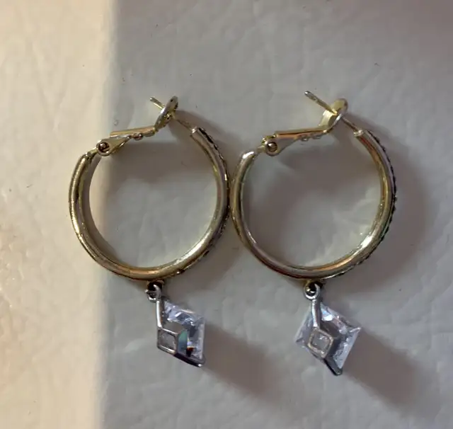 Earrings 65192924486530121
