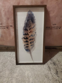 Shadow Box Style Feather Wall Art $25