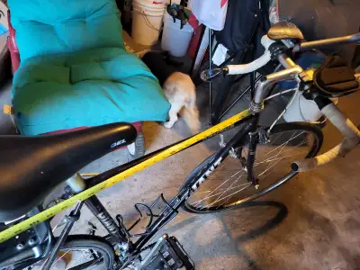 VINTAGE GIANT KRONOS ROAD BIKE, View more