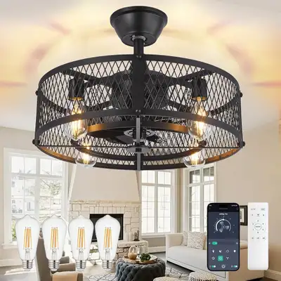 DLLT Caged Ceiling fan with light 20”, View more
