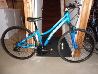 LADY NAKAMURA HYBRID BICYCLE, View more