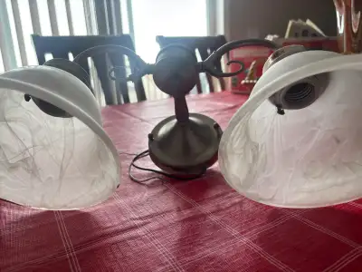 Vanity light in good condition Only$10 cash Pick up from panorama hills