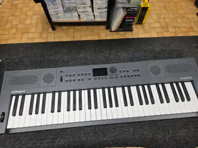 Découvrez le Roland GO-KEYS 5, un clavier polyvalent et expressif idéal pour les musiciens en herbe...