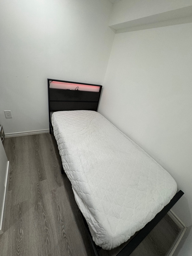 Private Room for girls  in Room Rentals & Roommates in Hamilton