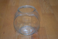 Glass Fish Bowl