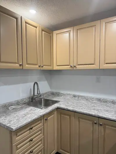 1BR  living /fully furnished !All inclusive