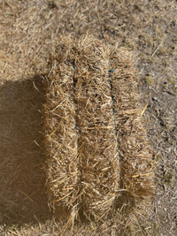 Rye Straw For Sale 