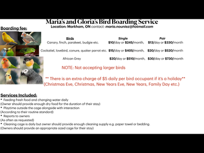 Bird Boarding Services/ Bird sitting, View more