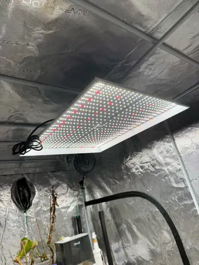 MarsHydro LED Grow Lights TS3000, View more