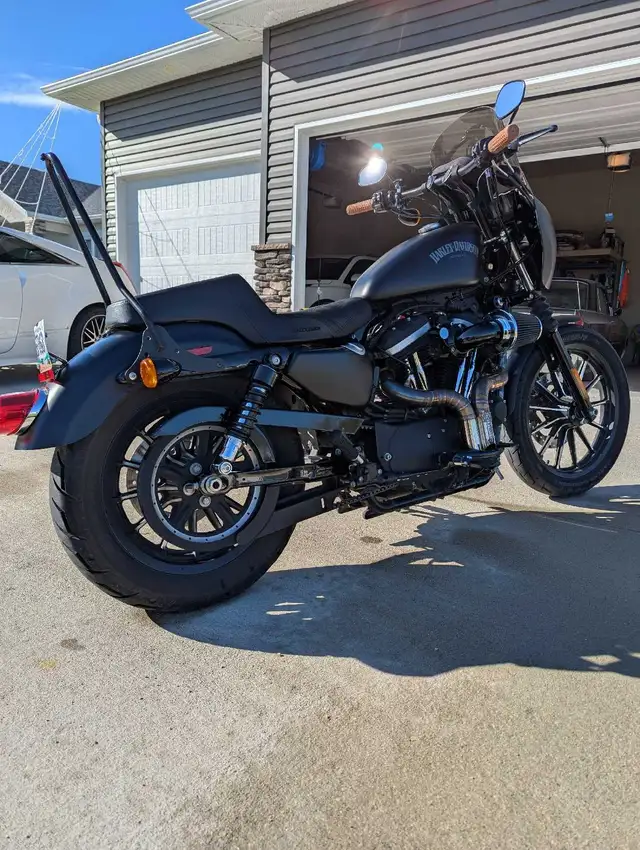 2014 Harley Davidson Sportster 883 Iron in Street, Cruisers & Choppers in Winnipeg - Image 7