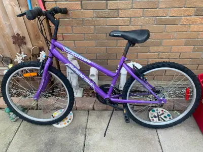SUPERCYCLE SC1800 purple - 15inch frame, View more