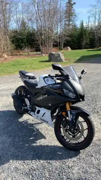 2019 Yamaha R3