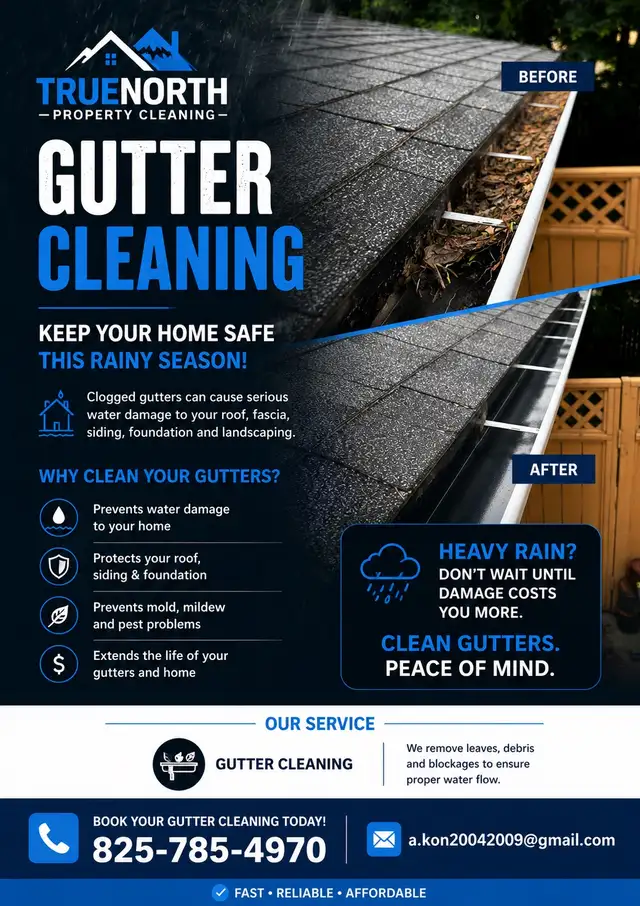 gutter  cleaning 