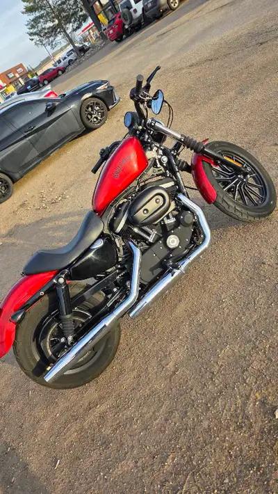 2013 Harley Davidson Sportster iron XL883N 13,000km Great shape Needs nothing 10/10 mechanically 8.5...