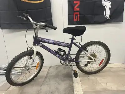 Vélo Bicyclette Pour Jeune Fille 20 po Mauve, View more