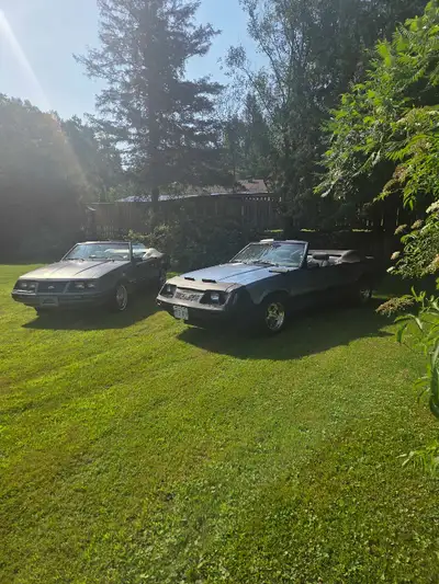 1983 ford mustang glx 3.8 v6 blue one has 105 tho kms and is mostly original Grey one has 51 tho kms...