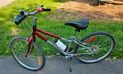 Miele Torino high end Hybrid 24" wheels made in USA for all ages, View more