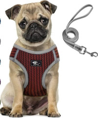 NEW Medium Dog and Cat Universal Harness with Leash -