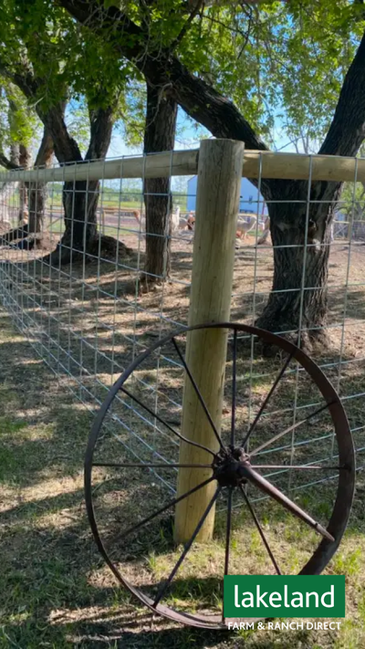 WELDED WIRE MESH PANELS for CATTLE/SHEEP/GOATS/HOGS/CHICKENS ETC, View more