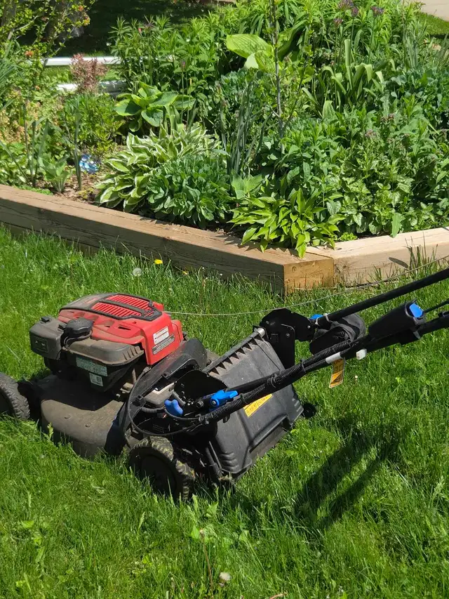 Grass cutting, Dump runs Niagara Region