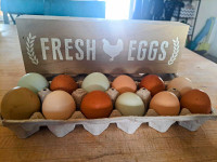 Farm Fresh Eggs