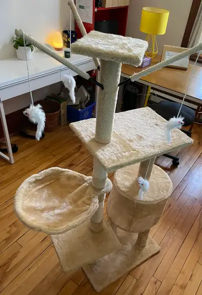 Dimensions: 52 Pouces de hauteur, 42 pouces de largeur. Parfait pour un petit chat ou des chatons. J...