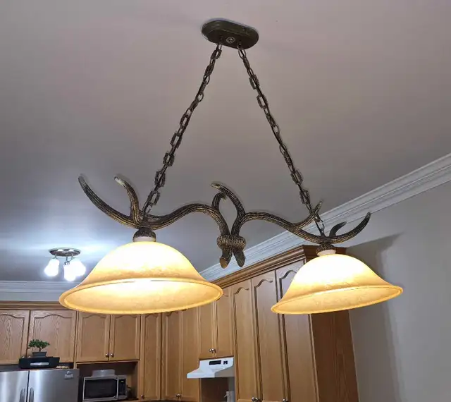 Rustic Antler Chandelier in Indoor Lighting & Fans in Kitchener / Waterloo - Image 5
