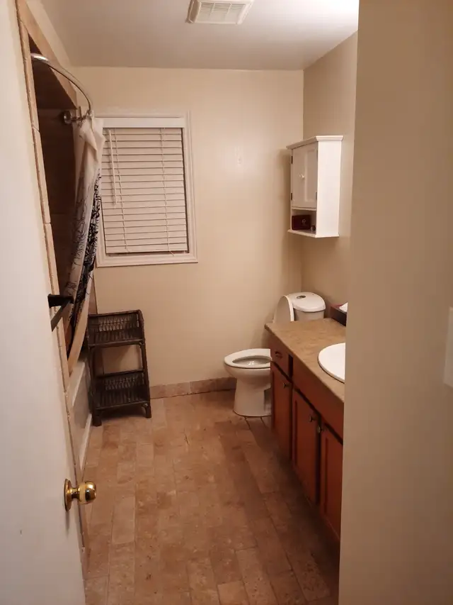Room for Rent in Room Rentals & Roommates in Windsor Region - Image 4