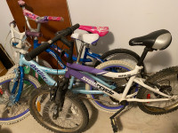 Kinds & Adult bikes 16 to 26 inch 
