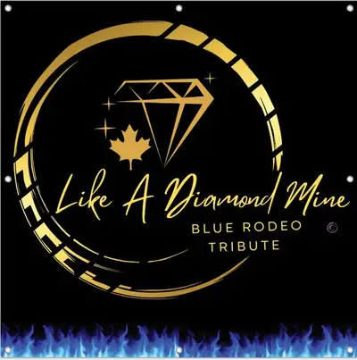 Blue Rodeo Tribute Seeking Vocals and Musicians!, View more