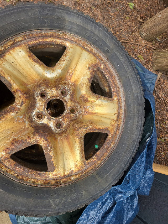 Free used winter tire on rim 215/55 R17 in Tires & Rims in Markham / York Region